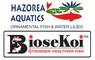 Hazorea Aquatics: Regular Seller, Supplier of: tropical fish, koi, goldfish, guppies, angels, ramirezi, discus, corydoras, waterlilies.
