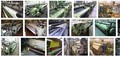 Hangzhou Texmac International Co., Ltd.: Seller of: used textile machinery, second hand textile machinery, used textile equipments, used weaving machine, used weaving loom, used picanol rapier, used toyota airjet, used sulzer rapier, used somet rapier. Buyer of: used textile machinery, second hand textile machinery, used textile equipments, used weaving machine, used weaving loom, used picanol rapier, used toyota airjet, used sulzer rapier, used somet rapier.