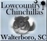 Lowcountry Chinchillas: Seller of: chinchillas, wholesale chinchillas. Buyer of: aspen shavings, pine shavings, purina show rabbit feed.