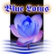 Blue Lotus Entertainment Inc.: Regular Seller, Supplier of: video documentaries, audio cassettes, video cassettes, music videos, complete audio-visual service.