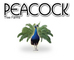 Peacock 500 Acre Tree Farm - Wholesale