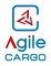 Agile Cargo: Seller of: air freight, cargo services, customs brokering, italy land freight, warehousing, spedizioni aeree. Buyer of: air freight, sea freight, land freight.