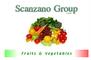 Scanzano Group: Seller of: fresh fruits vegetables, frozen vegetables, canned tomato sauce and pulp, agricultural machineries, cane sugar, urea - dap - fertilizers.
