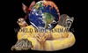 World Wide Animals Penang: Seller of: reptiles, birds, mammals. Buyer of: birds, mammals, reptiles.