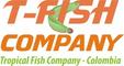 T-Fish Company: Seller of: tropical fishes, ornamental fishes, exotic, colombia, freshwater fishes.