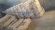 Agro Processors International (K) LTD: Seller of: sisal fibre, sisal ropes, sisal gunny bags, sisal twine.