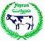 Najran Dairy Company Ltd
