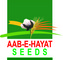 Aab-E-Hayat Seed Corporation: Seller of: cotton seed, wheat seed, paddy seed, mustered seed, mong seed, alfa alfa seed. Buyer of: cotton, wheat, paddy, mustered, mong, alfa alfa.