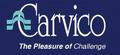 Carvico SpA: Seller of: fabrics, warp-knitted fabrics, textile, stretch fabrics, synthetic fabric, sportswear fabrics, swimwear fabrics, outwear fabrics, brushed fabric.