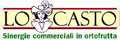 Lo Casto S.r.l.: Regular Seller, Supplier of: citrus, fruits, vegetables, import and export, italy, european trader. Buyer, Regular Buyer of: citrus, fruits, vegetables, import and export, italy, european trader.