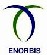 Enorbis Llc: Regular Seller, Supplier of: aloe powder200x spray dried, curcumin, amla dried powder, beta carotenes, betacarotene powder 10% 20% oil etc.