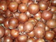 Cebollas Ruescas Export: Regular Seller, Supplier of: onion. Buyer, Regular Buyer of: sa.