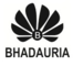 Bhadauria Infotech Private Limited: Seller of: circular knitting needles, flat knitting needles, transfer knitting needles, hosiery needles, link needles, knitting machine, dyeing machine, circular knitting machine, weaving looms.