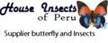 House Insects Of Peru: Seller of: butterflies, insects, moths, eegs, butterfly. Buyer of: butterfly.