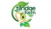 Tilridge Farm Ltd: Regular Seller, Supplier of: avocadoes, mangoes, herbs, spices, vegetables, passion fruit.