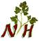 Norhan Office for Exporting Herbs: Seller of: parsley, dill, marjoram, chamomile, fennel, basil.