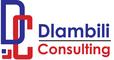 Dlambili Consulting