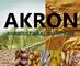 Akronagric: Seller of: cocoa, maize, flour, peanuts, cashew nuts, sugar, beans, sunflower oil, soy beans. Buyer of: tractors, safety wears, heavy equipment.