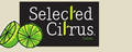 Selected Citrus: Seller of: limes, citrus, persian limes, seedless limes. Buyer of: limes, persian limes, citrus, seedless limes.