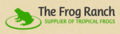 The Frog Ranch Inc.: Regular Seller, Supplier of: pacman frogs, pixie frogs, budgetts frogs, tomato frogs, horned frogs, amphibians, frogs, reptiles, pac man frogs.