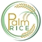 Palm Rice Co., Ltd: Regular Seller, Supplier of: jasmine rice, fragrant rice, rice.