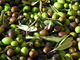 The Olive Branch: Seller of: extra virgin olive oil, truffle pastes and sauces, dried porcini, preserved whole truffle, pasta, lentils, truffle oil, balsamic vinegar, pate.