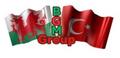 BGM Group Ltd