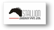Stallion Energy Pvt. Ltd.: Seller of: foundry coke, met coke, lam coke, activated carbon, biocoal, anthracite coal. Buyer of: activated carbon.