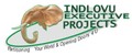 Indlovu Executive Projects: Regular Seller, Supplier of: builtncupboards, kitchen designs, ceilings, wall to wall wadrobes, office partitions, general carpentry.
