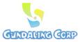 Gundaing corp: Regular Seller, Supplier of: playstation 3, nintendo wii, xbox 360, mobile phone, gps, apple iopd, games, mp3 players, pda.
