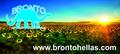 BRONTOHELLAS: Regular Seller, Supplier of: briquettes, briquetting equipment, oil press, animal feed, extruders, pellet press, bronto machines, soya extruders, seed extruders.