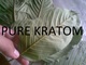 Pure Kratom: Regular Seller, Supplier of: super red vein kratom, super green vein kratom, super white vein kratom.