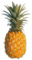 Sarah Enterprises: Seller of: pineapple, fruit, vegetable, spice.