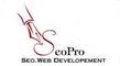 SEOPRO: Buyer of: search engine optimisation, search marketing, web development.