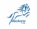Bluehorse Group: Seller of: organic turmeric, disposable tableware, lamps, home decor, gifts, handicraft, home furnishing, pottery, spices. Buyer of: organic spices, garments, handicrafts.