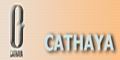 Zhejiang Cathaya International Co.,ltd