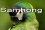Samhong Pet Products Co., Ltd.