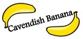 Banana Ecr Holding: Seller of: bananas, banana puree.