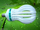 Changshu Xinhang Lighting Electronics Trading Co., Ltd.: Regular Seller, Supplier of: cfl bulbs, energy saving lamp, cfl lamp, u type cfl lamp, spiral type cfl, flower cfl, big power cfl lamp.