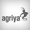 Agriya: Seller of: web design, web development, mobile application development, clone scripts development, open source customization, internet marketing, opensocial apps, portal intranet development, flash flex development.
