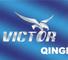 Qingdao Victor Tire Co., Ltd.: Regular Seller, Supplier of: tbr, pcr, otr, tyres, tires, tyre, tire, auto parts.
