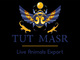 Tut Masr: Seller of: reptiles, geckos, snakes, insects, scorpions, venom, animals, vipers, lizards. Buyer of: reptiles, live animals, snakes, venoms, turtles.