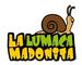 La Lumaca Madonita: Seller of: aspersa muller, aspersa maxima, petit gris, gros gris, lumache, crastuna, helix aperta. Buyer of: aspersa muller.