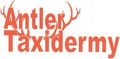 Antler Taxidermy: Seller of: taxidermy skins, taxidermy mounts, taxidermy animals, taxidermy hides, taxidermy shoulder mounts, taxidermy lifesize mounts, taxidermy bird mounts, taxidermy snake mounts, taxidermy hides.