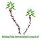 Beijing Palm International Group Ltd: Seller of: artificial palm tree, artificial coconut tree, bamboo tree, pot, artificial washington palm tree, canary palm tree, date palm tree, plastic tree, tropical tree.