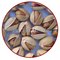 Sp-pistachio: Seller of: pistachio, kernel, almond, nuts.