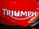 Triumph Import & Export: Seller of: eggs, maize, rice, corn, other.
