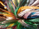 Cameroonfeatherslife.,Co., Ltd.: Seller of: zly rooster feathers, zly rooster feathers, zly rooster feathers, zly rooster feathers, zly rooster feathers, zly rooster feathers, zly rooster feathers, zly rooster feathers, zly rooster feathers.