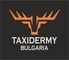 Taxidermy Bulgaria: Seller of: taxidermy for sale, european and african mounted animals, fur rugs, boutique tables, special lightning. Buyer of: taxidermy supply.