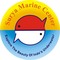 Surya Marine Center: Seller of: corals, cultured corals, cultured liverocks, fresh water fish, invertebrates, live rocks, marine fish, seafood, seaweeds.